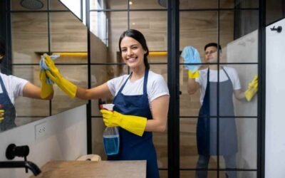 Benefits of Hiring Professional Home Cleaners in Northern Virginia